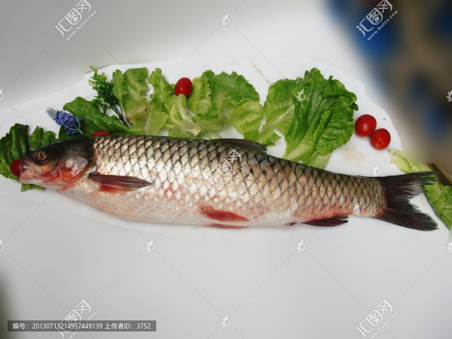 草鱼