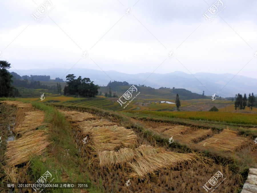 元阳梯田