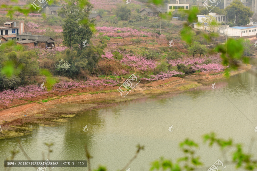 成都龙泉桃花沟