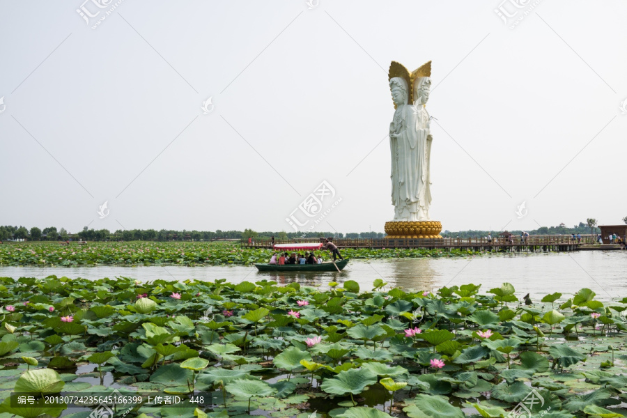 白洋淀,荷花大观园