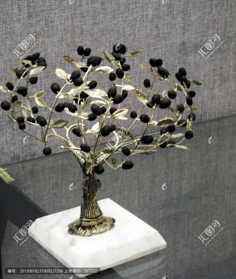 突尼斯银橄榄树