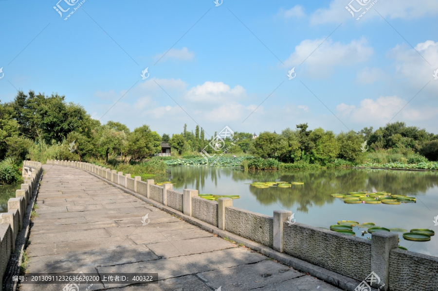 杭州,西溪,公园,夏天,早晨