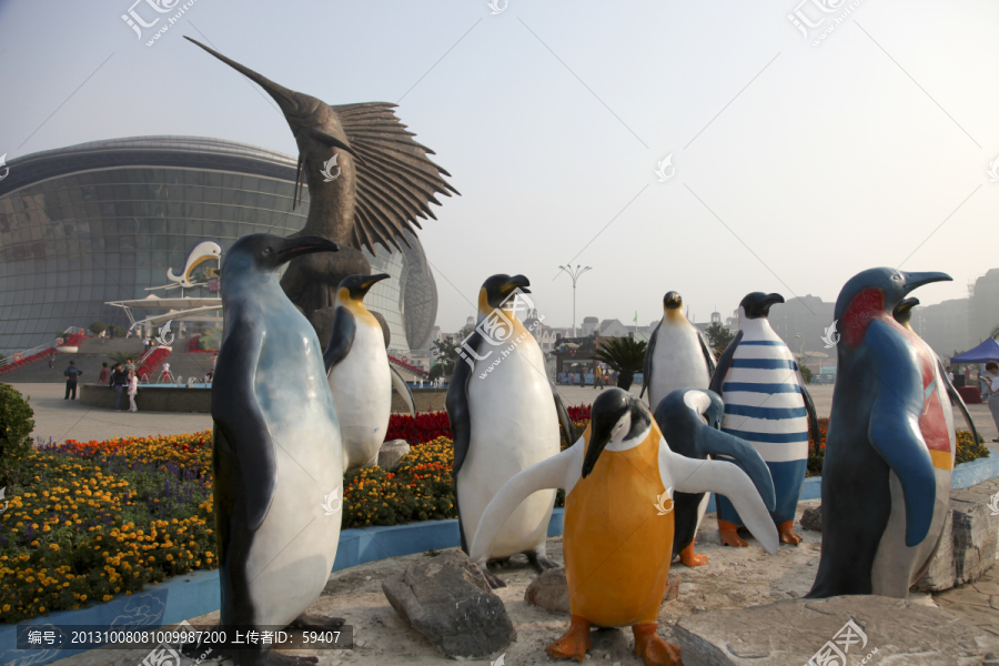 天津塘沽海昌极地海洋馆,企鹅