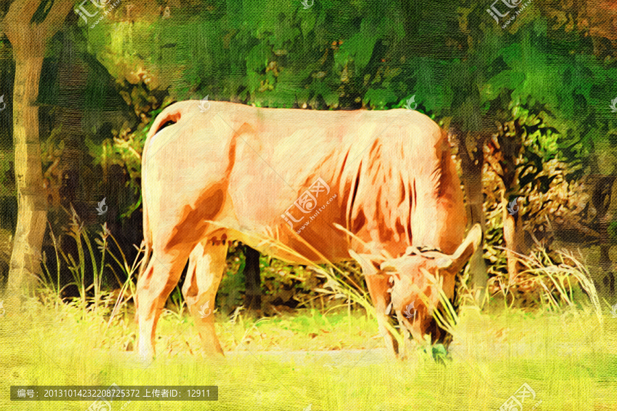 动物装饰画,牛