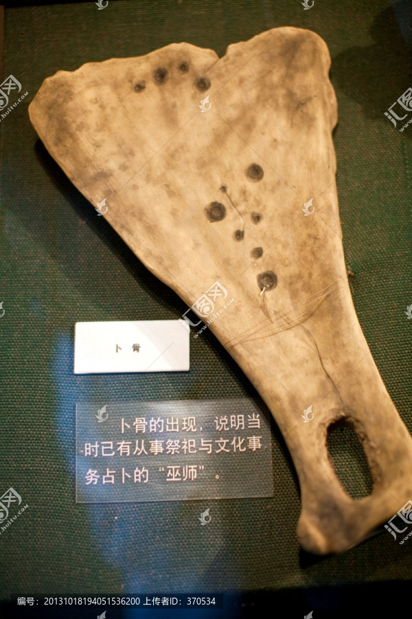 上海自然博物馆,考古,自然科学