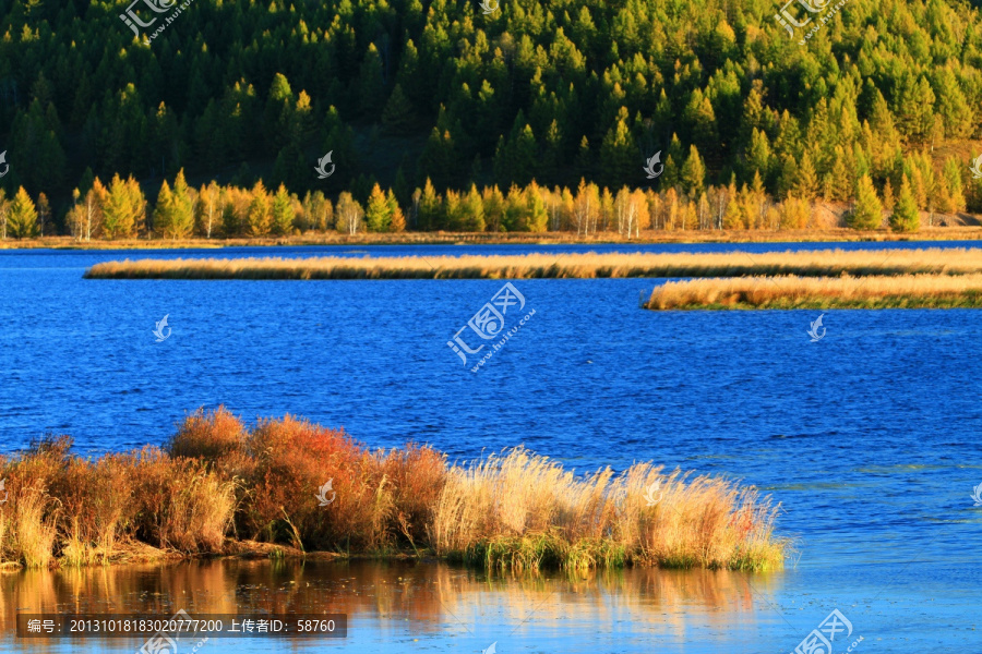 森林湖秋景