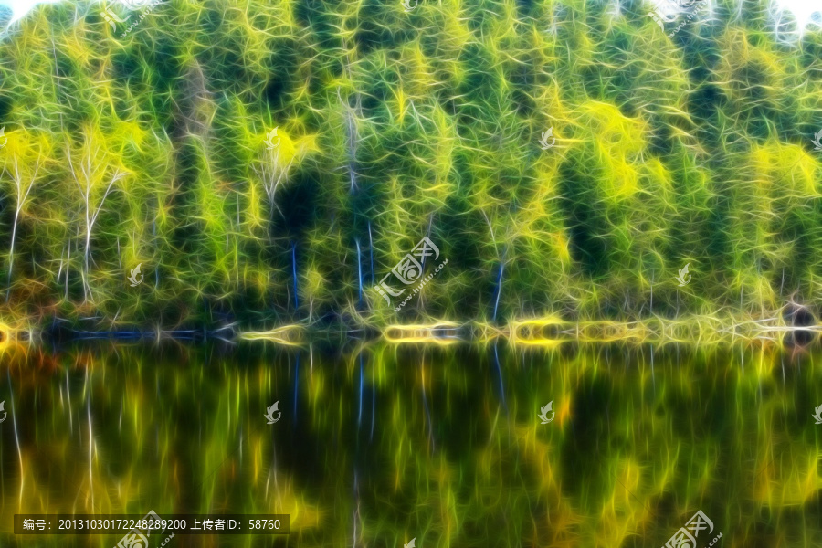湖岸森林,电脑画
