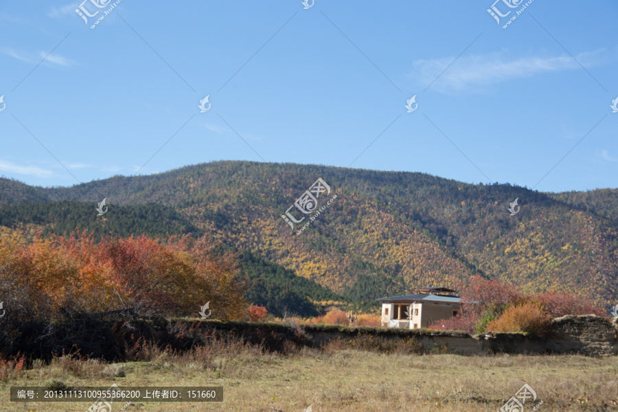 香格里拉乡村秋色