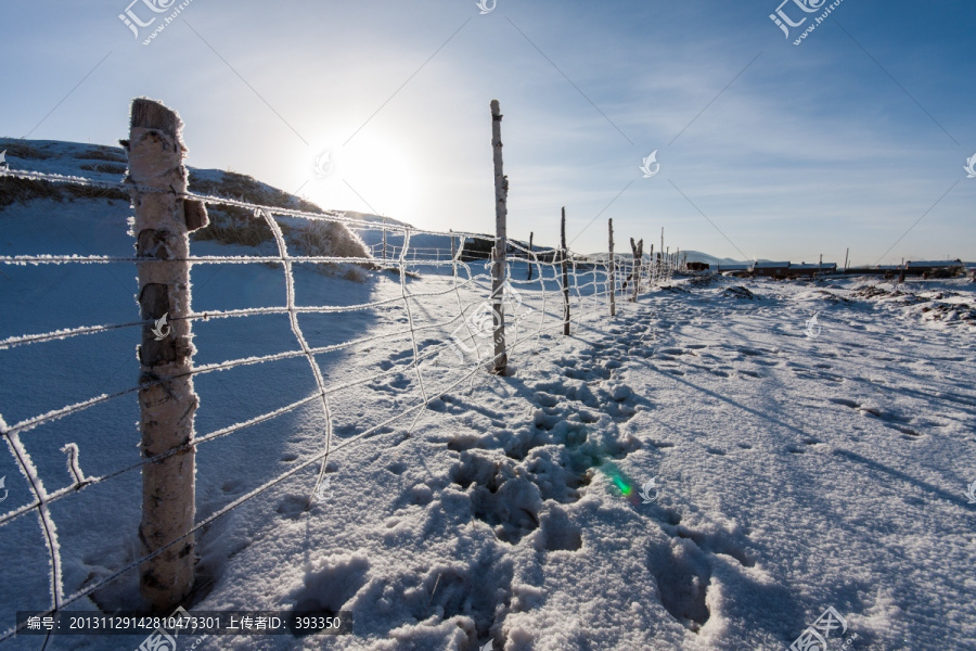 冬日雪原,围栏,铁丝网,逆光
