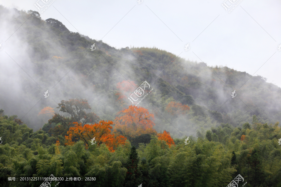 山林