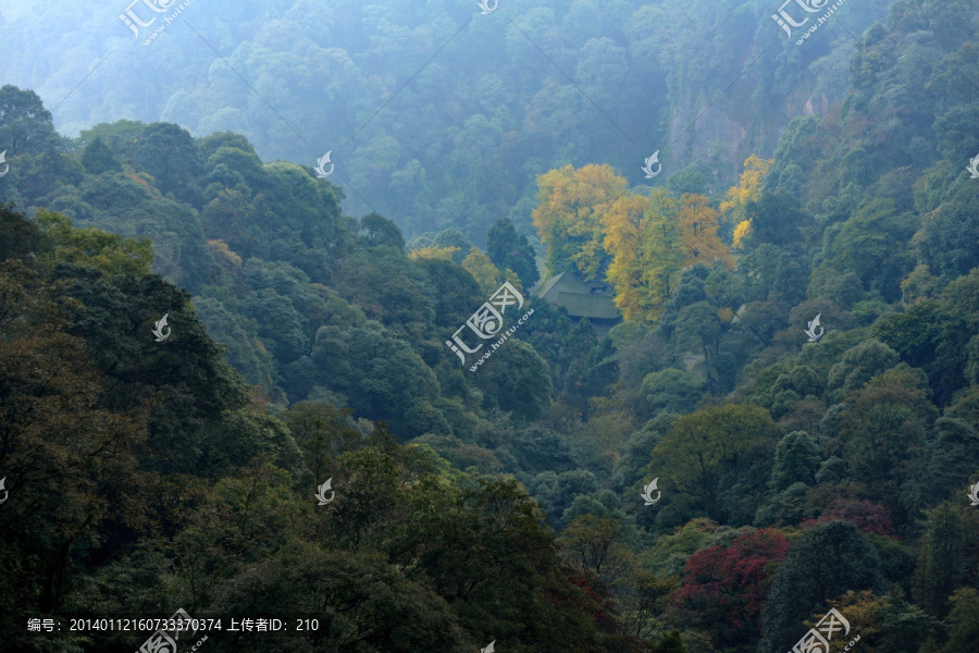 青城山朝阳洞秋色