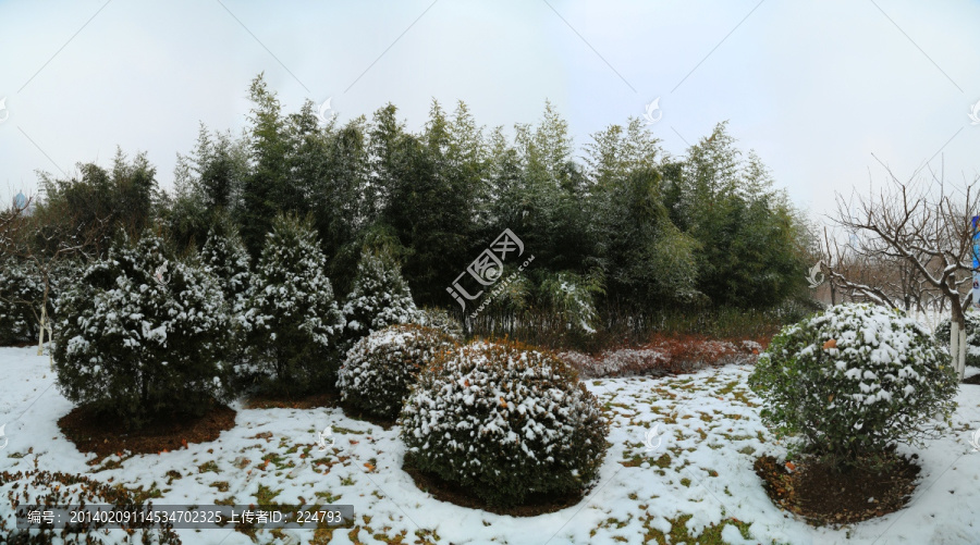 济南的雪景