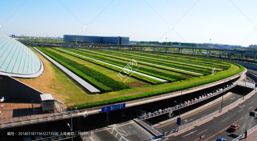 北京T3航站楼前绿化