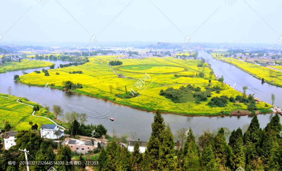 潼南油菜花