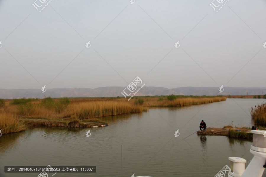 黄河湿地