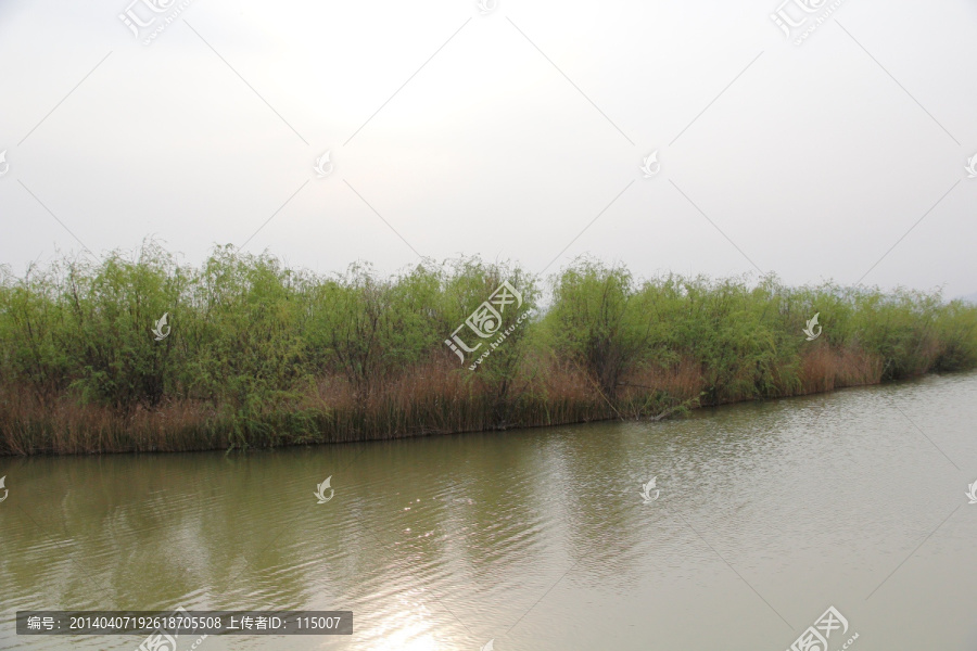 黄河湿地