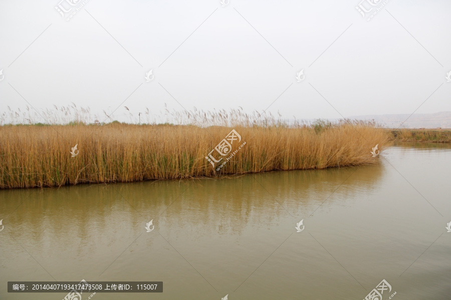 湿地公园