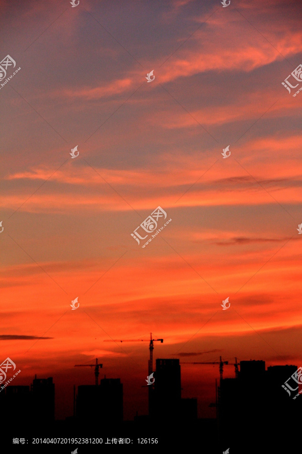 夕阳红