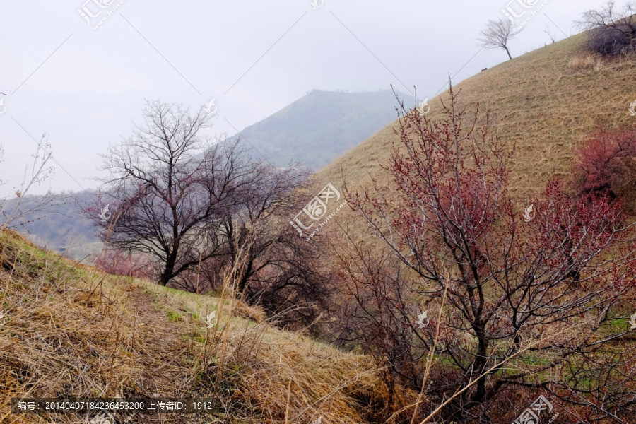 山野