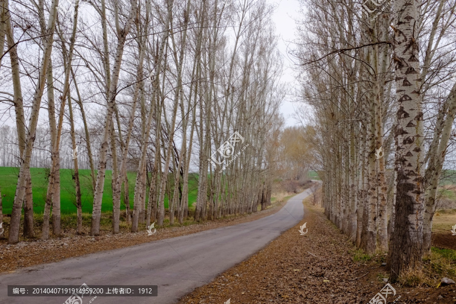 路