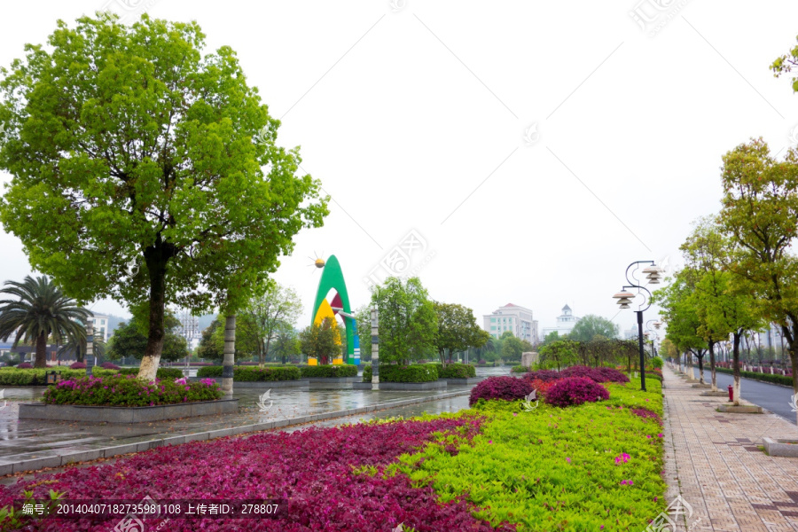 安福广场,城市绿化,春天