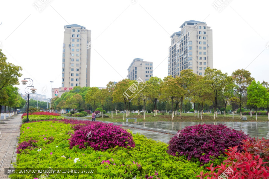 安福广场,城市绿化,春天