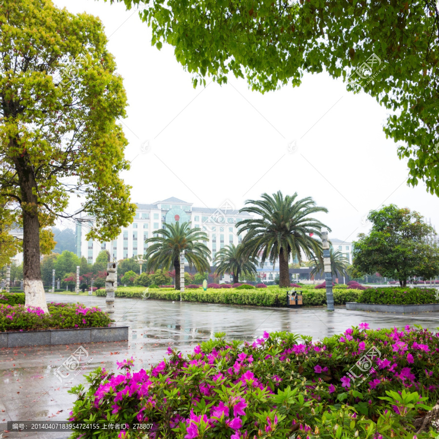 安福广场,城市绿化,春天