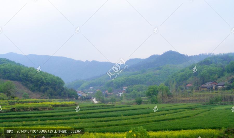 山里的梯田