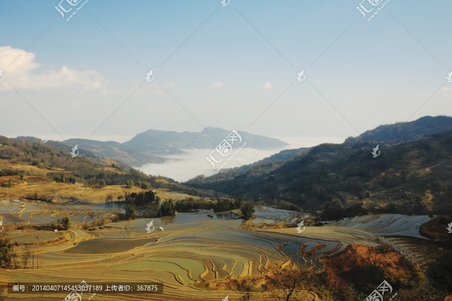 元阳梯田风光