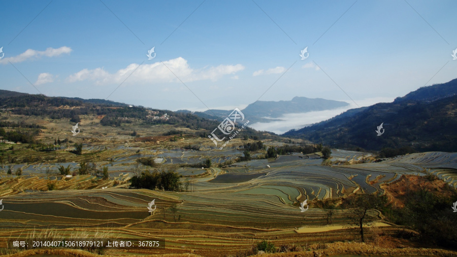 元阳梯田