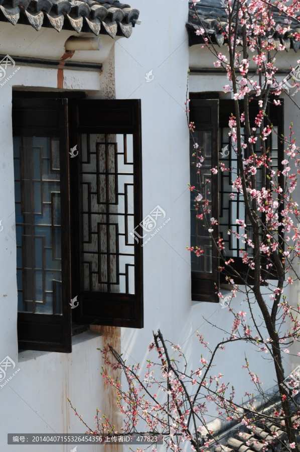 江南古建一角窗边桃花
