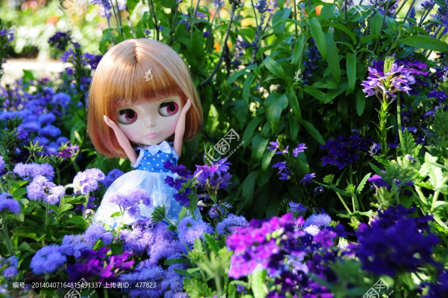 花丛中的小布Blythe