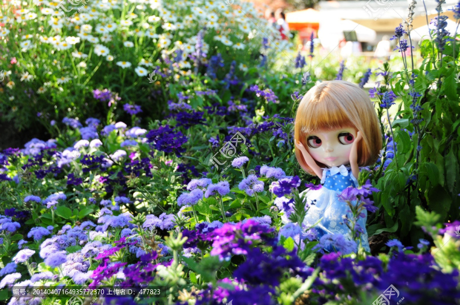 花丛中的小布Blythe