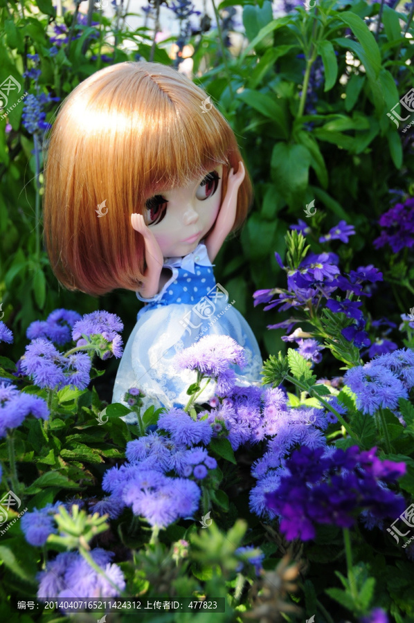 花丛中的小布Blythe