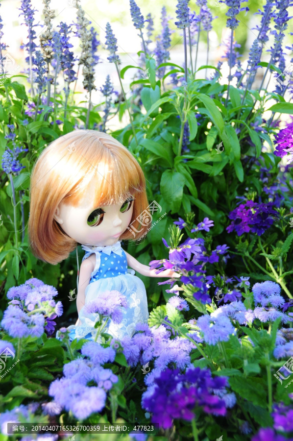 花丛中的小布Blythe