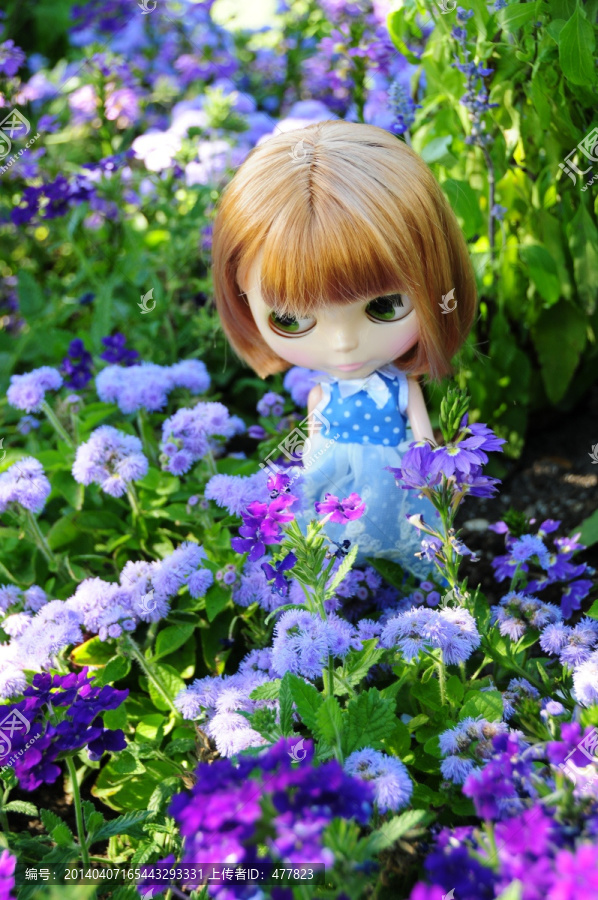 花丛中的小布Blythe