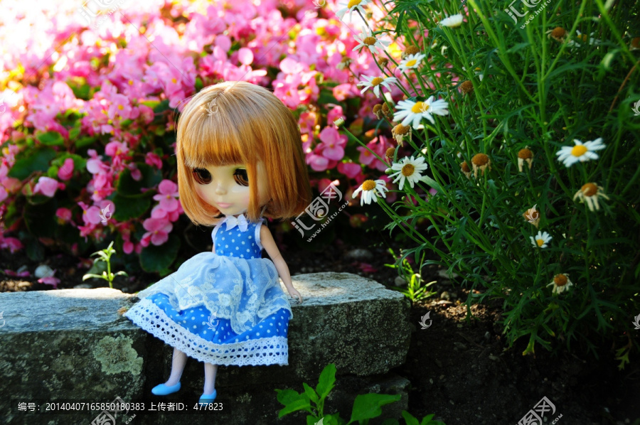 花丛中的小布Blythe