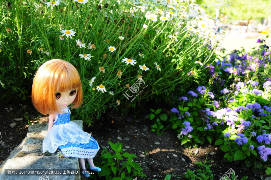 花丛中的小布Blythe