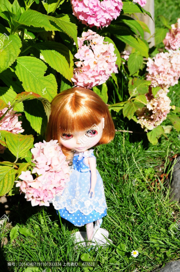 花丛中的小布Blythe