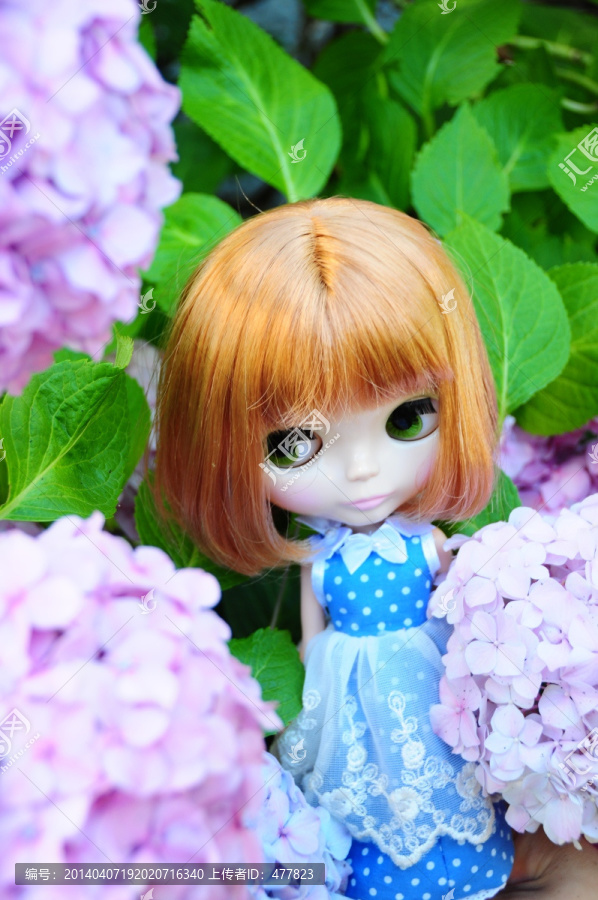 花丛中的小布Blythe