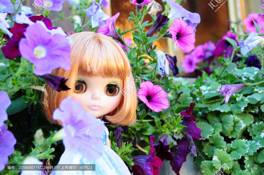 花丛中的小布Blythe