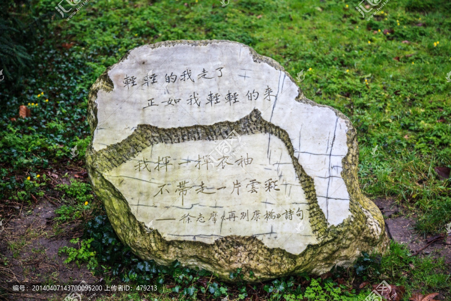 徐志摩再别康桥诗句