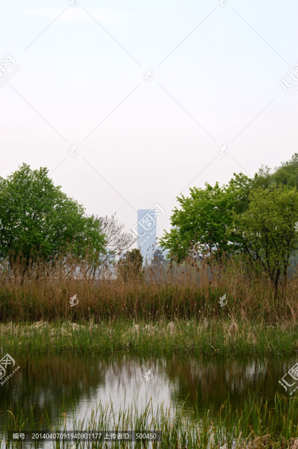 湿地,景区