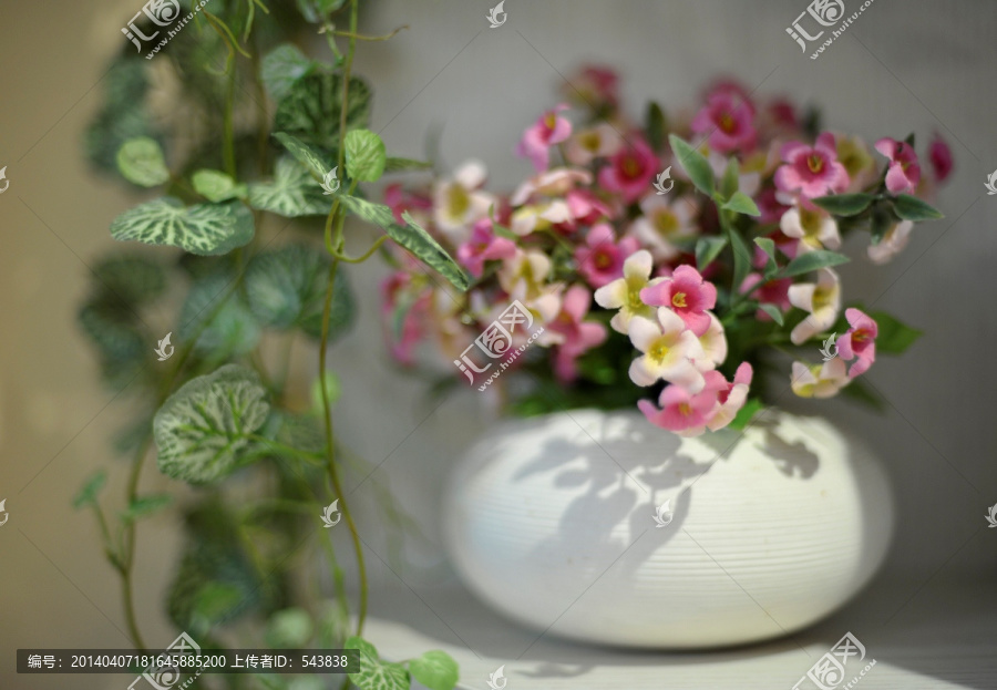 花卉装饰