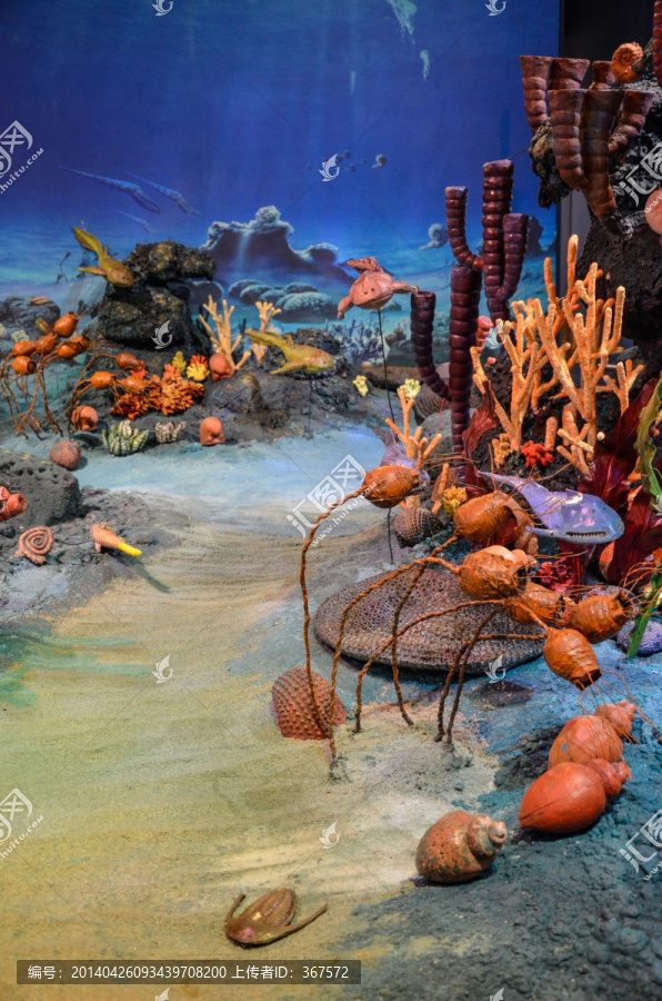 古生代海底世界
