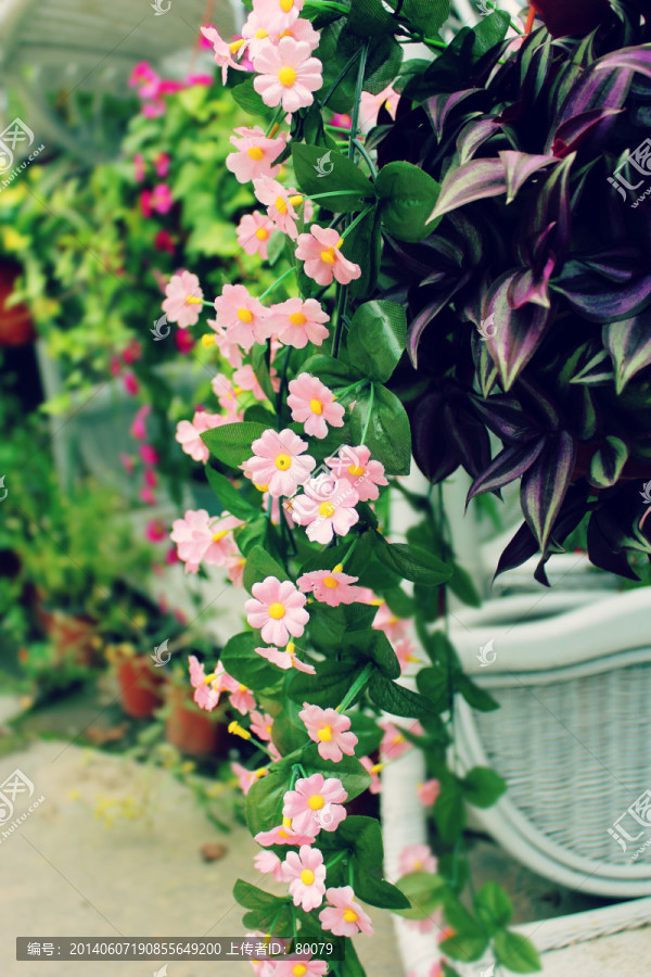 花朵小品