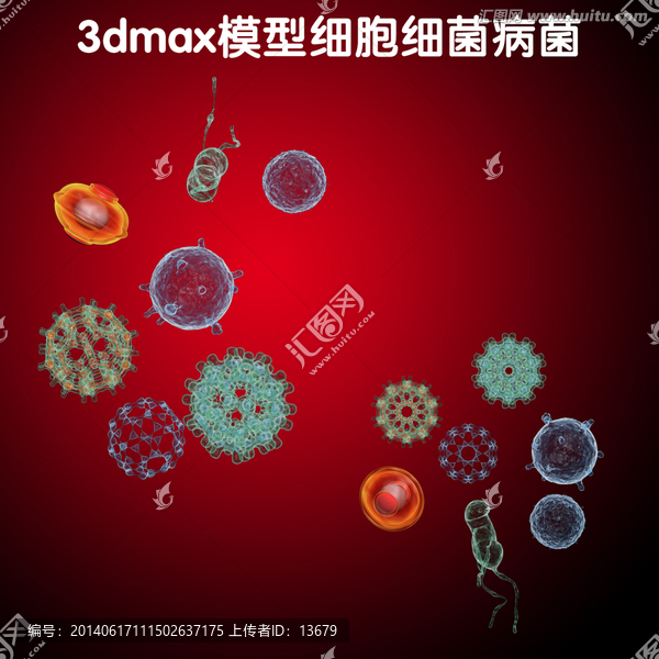 3dmax模型细胞细菌病菌