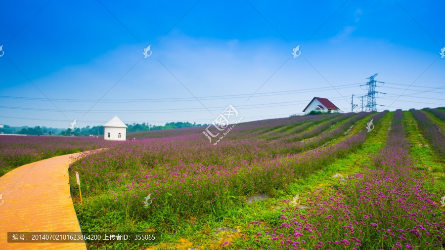紫颐香薰山谷