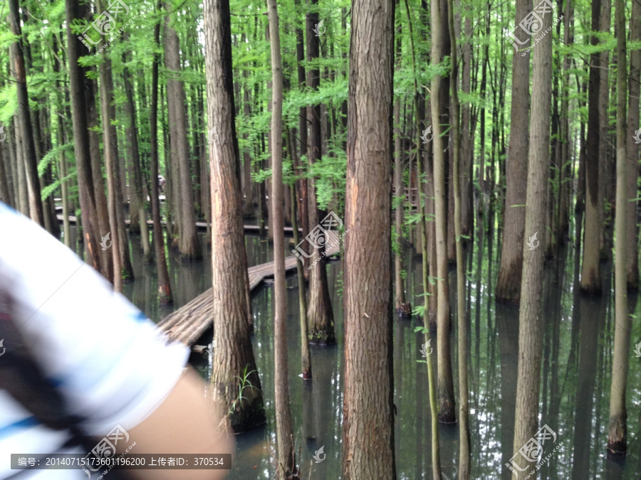 南京,将军山,风景,户外,公园