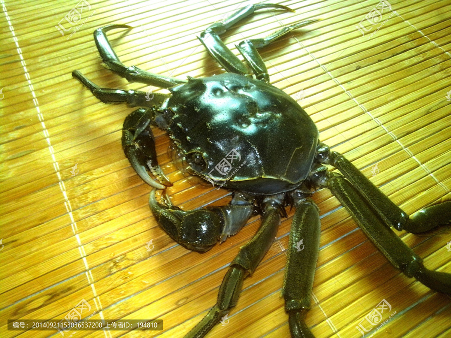 大闸蟹